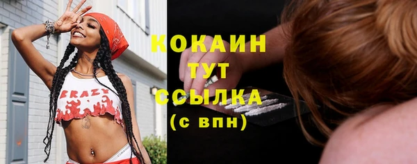 тгк Алексин