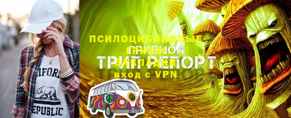 ешки Алзамай