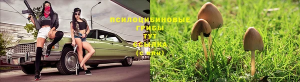 тгк Алексин