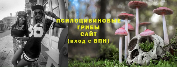 тгк Алексин